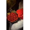 Ours floral rouge
